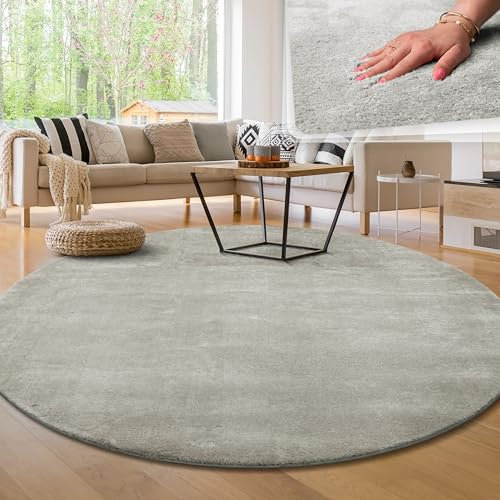 Paco Home Moderner Kuscheliger Wohnzimmer Teppich Kurzflor waschbar flauschig Weich Einfarbig Felloptik zeitlos stilvoll rutschfest pflegeleicht, Grösse:80 cm Rund, Farbe:Silber
