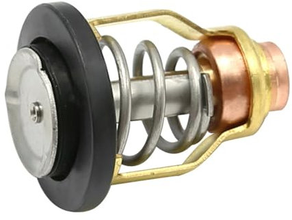 ZHONGJIA Compatible con termostato Y-AMAHA 60ºC 67F-12411-01-00 F75 F80 F90 F150 VF250