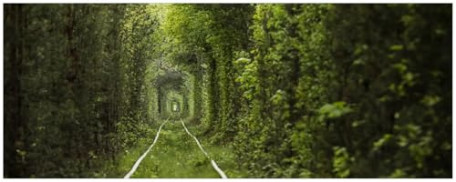 Wallario Küchenrückwand selbstklebend 115 x 50 cm, Motiv: Verwunschener Tunnel aus Bäumen | Spritzschutz abwischbar & pflegeleicht