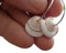 ⊹⊱ ✿★ SHIVA AUGE MUSCHEL RUNDE OHRRINGE CREOLEN ★✿ ⊰⊹ kleine natürliche Festival Hippie Boho Ohrringe