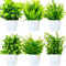 Purpledi 6 Piezas Plantas Artificiales Mini Ecologización Artificiales Macetas Plantas Plásticos Plantas Falsa, Planta Artificial Pequeña para Mesa de Despacho Baño Hogar Decoración B