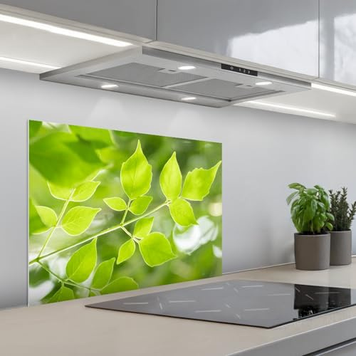 KitchenYeah© Credence Cuisine 50x70 cm Adhesif Protection Mur Plaque De Cuisson Plastique Rigide Revetement Murale À Coller Nature - Printemps - Vert - Feuilles