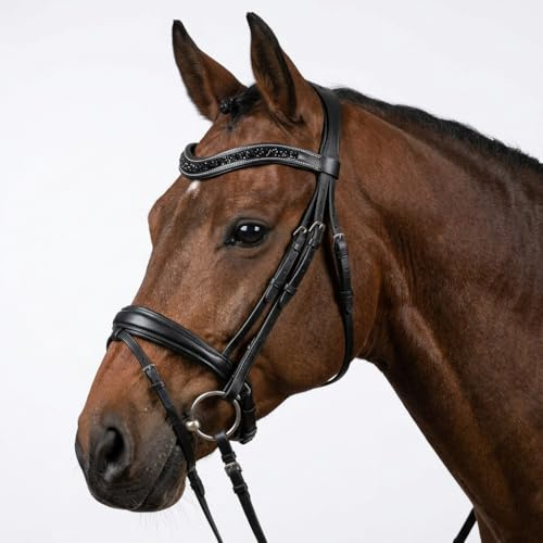 Pferdelinis Geschwungener Stirnriemen mit funkelnden Kristallen in Silberoptik – sorgt für einen stilvollen und glamourösen Auftritt im Training und auf dem Turnier (Schwarz-Schwarz, Vollblut (Cob))