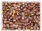 100 pcs of Faceted Fire Polished Pressed Czech Glass Beads 4mm (0.16in), Crystal Copper Capri Apollo 00030-27101 BCV