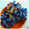 Weinreben,Winterhart MehrjäHrig,Stecklinge,Vitis Vinifera Weinrebe,Zierpflanzen,Weintrauben Kernlos Pflanze-2ROOT-E