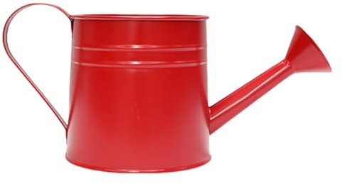 Annaffiatoio in metallo porta piante elegante bottiglia di irrigazione in metallo unico vaso per piante per casa ufficio giardino ornamento contenitore per piante zincato