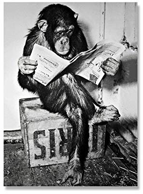 DrôLe Singe Entreprise Affiche Et Impression sur Le Mur Lecture Journal Peinture Salle De Bain Toilettes DéCor Noir Blanc Art Photo-30x40cm sans Cadre