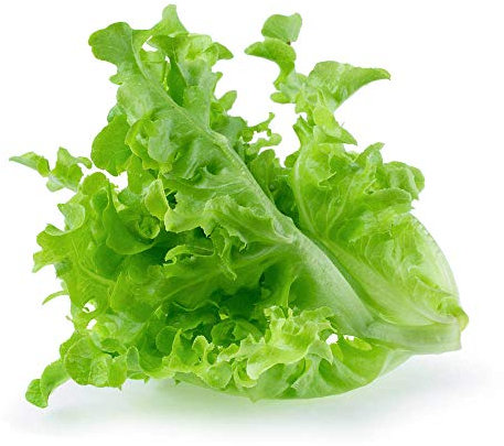 Varietà contenenti più verdure e semi di vaniglia creano un giardino lussuoso, 100% non OGM (lattuga da giardino verde)