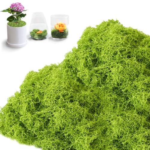 Cartlant 200g Artificial Moss for Plant Pots, Light Green Faux Fake Moss Realistic Indoor Craft Decor, Preserved Dried Ground Cover Lichen for Terrarium, Hanging Baskets, Fairy Garden Planters