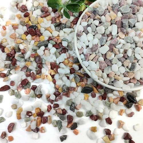 SHIZWU Pierres d'aménagement paysager multicolores de 3/8 pouces, petites roches pour pots de cactus succulents, galets polis naturels, roches de rivière pour plantes, vases