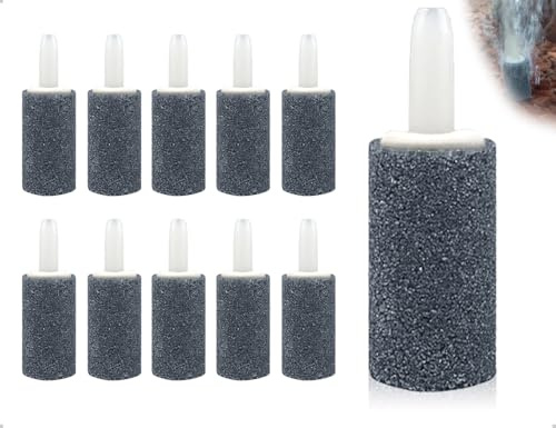 AOYEGIC 10 Stück Luftstein für Aquarium,Luftausströmer Sprudelstein für Aquarium,Blase Diffusor Release Tool,verwendet für Familie Teich Hydroponik(15 mm,Zylinder)