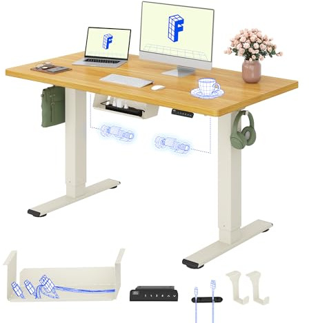 FLEXISPOT Höhenverstellbarer Schreibtisch elektrisch, Doppelmotor 120x60 cm | 25 mm einteilige Tischplatte, Kabelmanagement & Memory-Funktion,ergonomischer Büro-&Computertisch,elektrisch höhenverstellbar