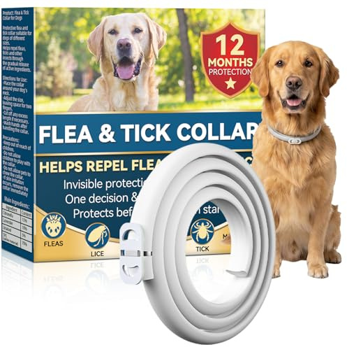 Collar Antiparasitario para Perros 65 cm, Protección contra Pulgas, Garrapatas e Insectos hasta 12 Meses, para Perros de Todos los Tamaños, Impermeable y Ajustable (1)