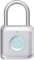 eLinkSmart Fingerprint Padlock Digital Padlock Locker Lock Keyless Biometric Padlock for Gym Locker School Locker Backpack Suitcase Luggage Silver