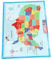 VILLFUL 1blatt Karte Für Junge Mädchen Educational Map Poster Für Vorschulkinder Lernposter Für Zuhause Und Kindergarten Robustes Design Mit Abgerundeten Ecken Für Frühkindliche