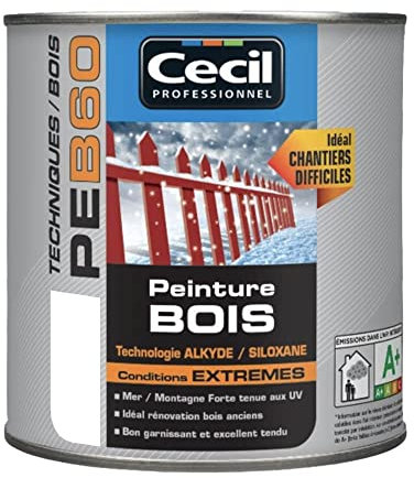 Peinture Bois Cécil Professionnel PEB60 Blanc brillant 0,5 L