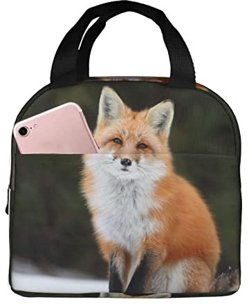 Funny Fox Lunch-Tasche, isolierte Lunchbox für Damen und Herren, leichte, langlebige Tragetasche für Büro und Schule
