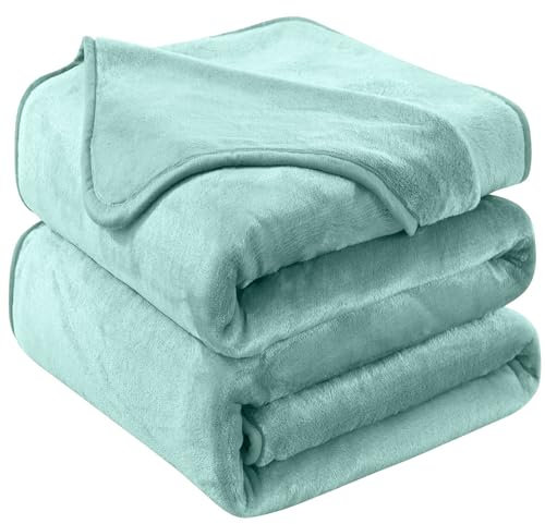 HOZY Kuscheldecke Flauschig Decke Fleecedecke - Kuscheldecke 220x240cm, Mint Grün, Decke Grün Sofa, XXL Fleecedecke Sofa Decken, Warm Wohndecke Couchdecke Hundedecke Sofadecke flauschig