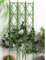Rose Rankgitter Metall 3er Set, Faltbares Design Hoch 220cm Rankhilfe Pergola für Rasen/Hinterhof/Terrasse Kletterrosenpflanzen Garten Decoration,Green-180 * 60cm(71 * 24in)