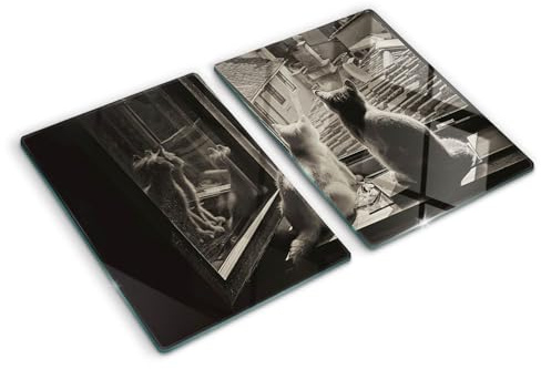 Schneidebretter Glas 2x40x52 cm Antibakteriell 2 Stück Glasplatte für die Küche Rutschfest Silikonfüße Dekorativ Plastikfrei Gehärtetes Glas Hitzebeständig Lebensmittelecht - Katzen am Fenster