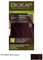Tinte Delicato 5.50 caoba marrón claro 140 ml (Castaño claro caoba)