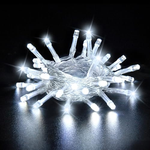 Dalugo White Battery Lights, 3M 30 LED Cool White Battery Powered Fairy Lights with Timer for Indoor & Outdoor Christmas Decorations