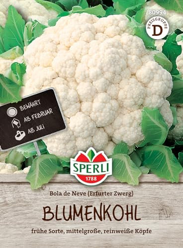 Sperli Semi di cavolfiore Bola de Neve 80994 – adatti per il vaso, resistenti e resistenti al calore, semi di cavolfiore, cavolfiore, fresco, semi per 80 piante