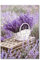 ABCWARRT Moderne Leinwandmalerei Provence Lila Landschaft Lavendel Bild Home Girl Room Poster Decor Kein Rahmen (30 * 40cm kein Rahmen,4)