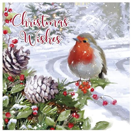 Eurowrap Weihnachtskarten, traditionelles Rotkehlchen, 2 Designs, Weihnachtsgrüße und Weihnachtswünsche, umweltfreundliche Verpackung, 100 % recycelbar, 12 Stück