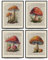 PLKMN Wandkunstdrucke im Vintage-Pilz-Stil, 20,3 x 25,4 cm, Retro, botanisches Poster, Bilder, Wörterbuch-Stil, Dekoration für Schlafzimmer, Bauernhaus, 4 Stück, ungerahmt