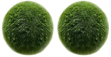 LuckyOpt Lot de 4 boules d'algues vertes vivantes pour aquarium, décorées avec des boules d'algues vertes, 2 tailles, roses
