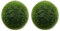 LuckyOpt Lot de 4 boules d'algues vertes, naturelles, pour aquarium, décorées avec des boules d'algues vertes, 2 tailles, (L)