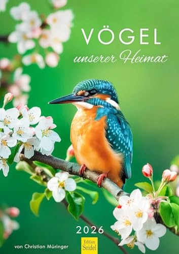 Edition Seidel Premium Kalender Vögel unserer Heimat 2026 Format DIN A3 Wandkalender Vogelkalender Deutschland Amsel Steinkauz Blaukehlchen Specht Blaumeise Christian Müringer