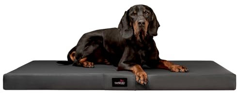 tierlando® Orthopädische Hundematratze Alice Easy CLEAN Kunstleder Visco-Hundematte Größe: 80x60cm | Farbe: 02 Graphit