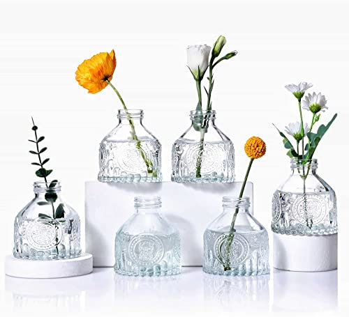 Eidoct Glass Bud Vases Set of 6, Small Bottles for Floral Arrangements, Rustic Decorative Vases for Centerpiece Home Living Room Office Decoration or Wedding Event (Clear)