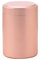 QXPDD Reise-Teeglas Mini Metall rund Tee Zucker Kaffeedosen versiegelte Vorratsdosen Dosen mit luftdichten Deckeln für losen Tee Gewürz Kaffeebohnen Zucker,Roségold