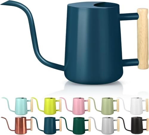 Regadera para plantas de interior, 1 l, regadera pequeña de metal para interiores, acero inoxidable, moderna y decorativa con caño largo para casa, plantas, bonsái, flores de jardín al aire libre
