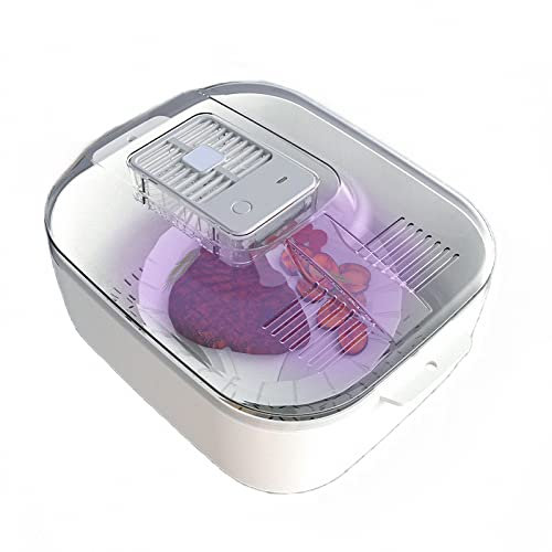 FourInOne Küche Essen Zinn Tablett, Haushalt Fleischsteak Quicktauen, Obst Gemüsewasch- & Entleerungskorb, Weiß, 29 * 24 cm