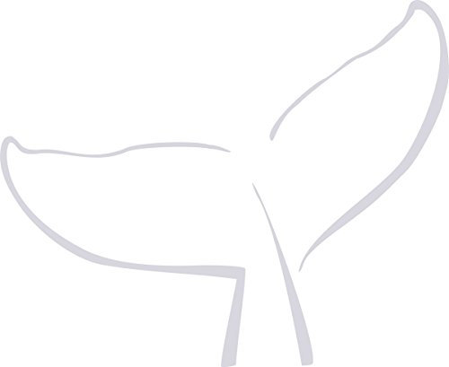 CLICKANDPRINT Wandaufkleber / Wandtattoo Walflosse, 170x104,2cm, Farbe transparent