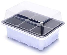 Accessori per la semina Tray Kit scuola materna vasi di piante di germinazione Box giardinaggio 6 fori