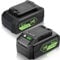 MAFACBAC Greenworks - Batteria di ricambio da 24 V per tosaerba al litio da 24 Volt 29842 29852 LB24A020 per tosaerba Greenworks 24 V, 6,0 Ah, confezione da 2