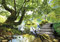 ForWall - Vlies Fototapete Wald Baum Bach Natur Landschaf Sonne 254x184 cm - Fototapeten - Tapeten - für Wohnzimmer Schlafzimmer - Vliestapete Wandtapete Tapete 3D Effekt- inkl. Kleister