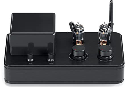 CZYGPHY Amplificatore Ricevitore Stereo Bluetooth 5.0 a 2.1 canali, Amplificatore per Cuffie a Tubo AB Hi-Fi per Altoparlanti passivi Domestici, Uscita Cuffie con Ingresso ausiliario USB