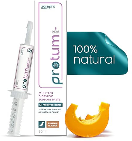 Zanipro Pasta Probiotica e Prebiotica per Cani contro la Diarrea e dopo il Vermifugo, 3 Miliardi di Fermenti Vivi, Cura Intestinale – Rassodamento delle Feci (30ml) Zucca