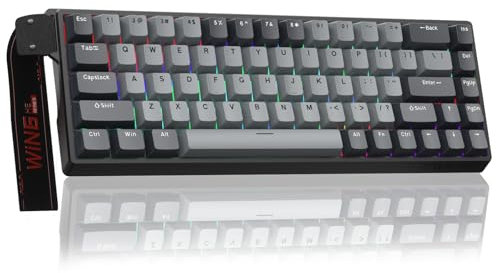 AULA WIN68HE Pro Mechanische Gaming Tastatur mit Kabel,Hall Effect Magnetic Switches,Rapid Trigger,Einstellbare Betätigung,60% RGB Tastatur für PC/Mac,QWERTY (Grau)