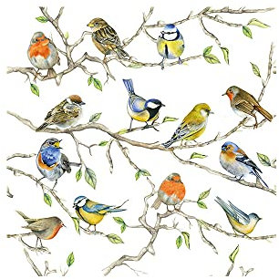 Ambiente 3 Ply Paper Napkins Birds Meeting