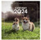 Finocam - Kalender 2024 Wandbilder 30x30 zum Schreiben Januar 2024 - Dezember 2024 (12 Monate) Katalanische Hunde und Katzen
