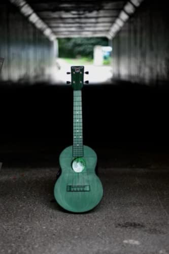 Ukulele Cover Blank Notebook: Blank lined notebook for ukulele lovers
