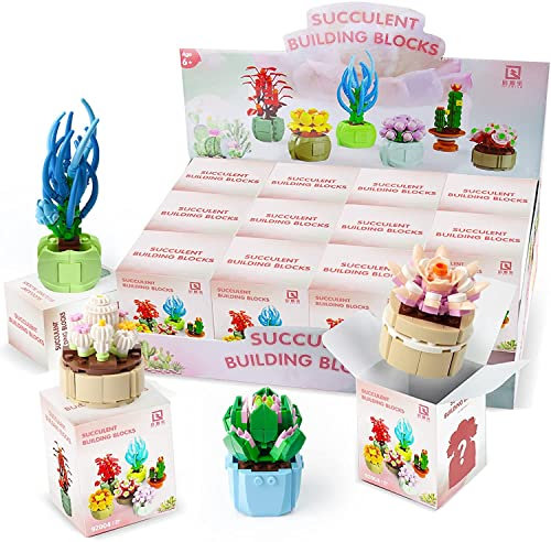Succulents Figurine Blind Box Building Kit, Creative DIY Random Botanical Collection Building Toy, Set for Adults and Kids, Compatible with Lego (Whole Set 12 Plants)