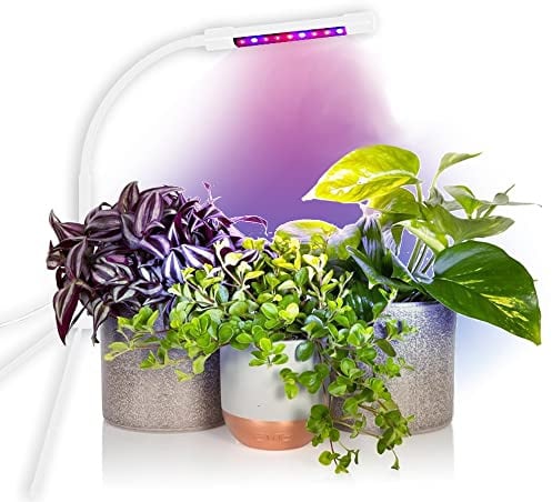 Mayhem Funtech USB LED Grow Light - The Indoor Plant Booster - with Timer & Variable Lights - Tripod Stand